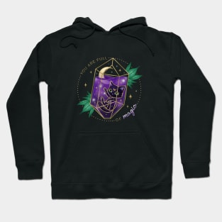 You Are Full of Magic Crystal Cat Hoodie